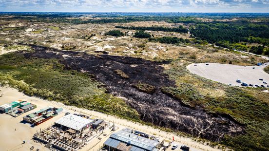 Brand in duinen vlak bij strandtenten begonnen: 'Al snel stond heel de boel in de hens' Home