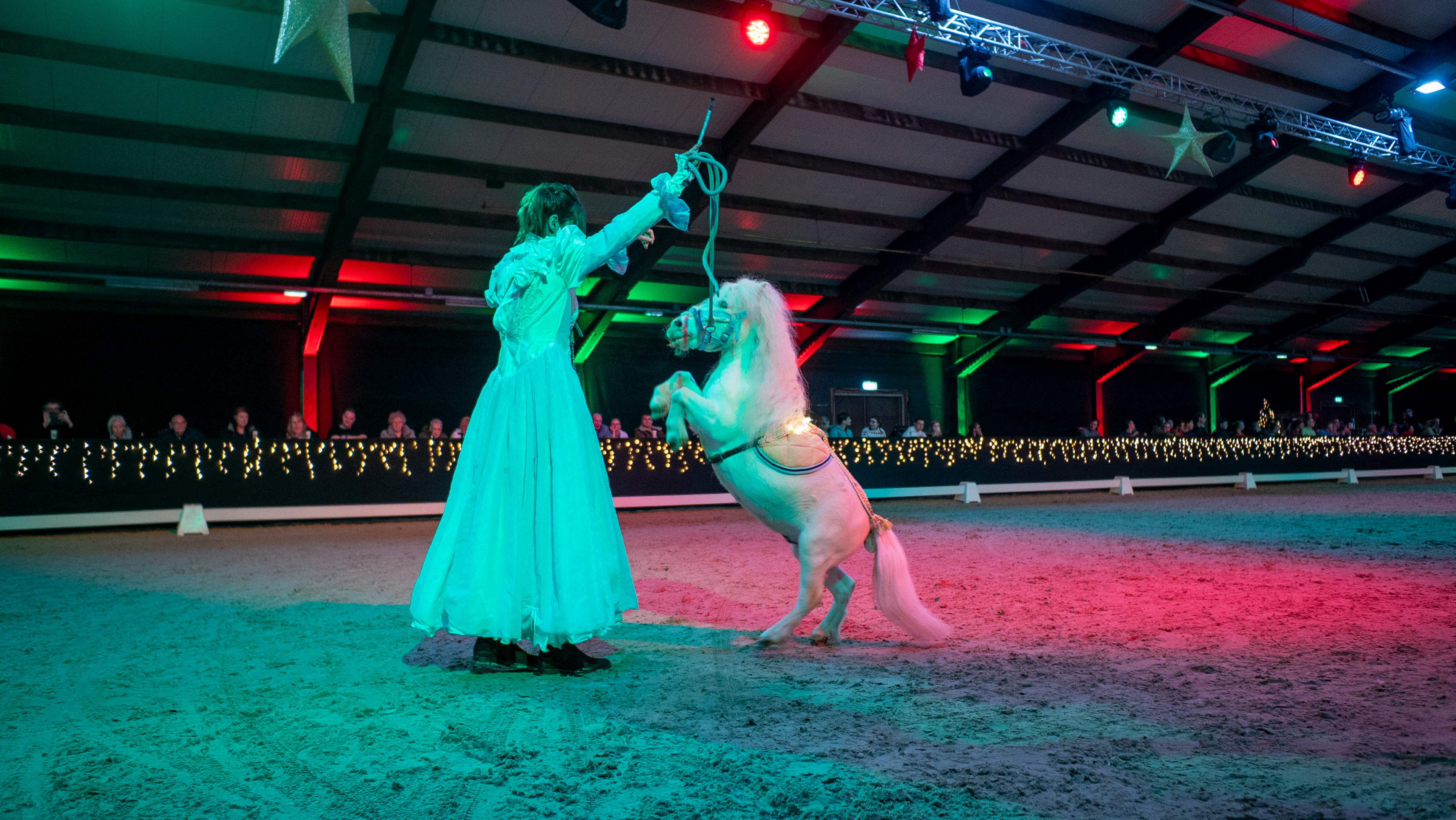 In Beeld: Nagenieten van de Hippische Kerstshow in Exloo