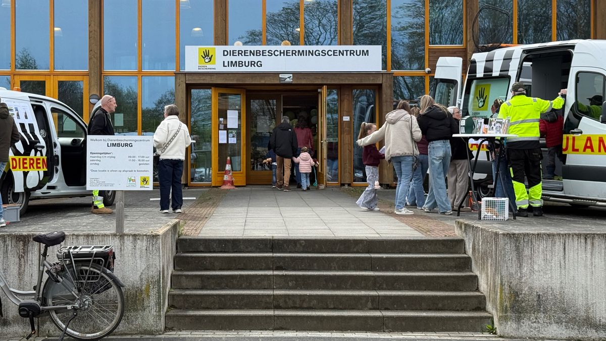 Open dag asiel trekt nieuwsgierige bezoekers en aandacht voor dierenwelzijn