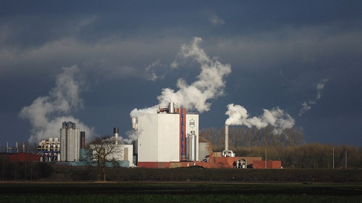 Aardappelsap basis voor energiebesparing bij Avebe in Gasselternijveen