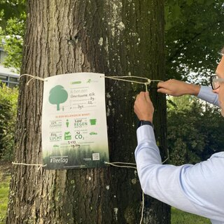 Vijf bomen op Schouwen-Duiveland krijgen poster die hun waarde laat zien
