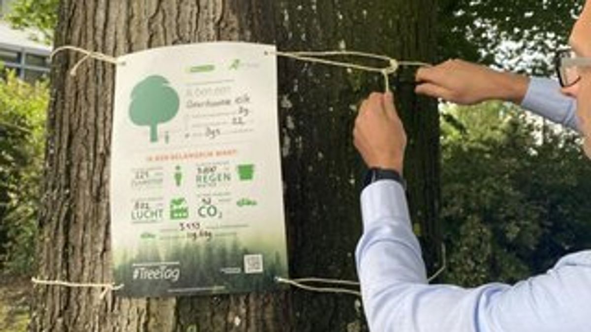 TreeTags op Schouwen-Duiveland: zo zie je wat een boom écht bijdraagt