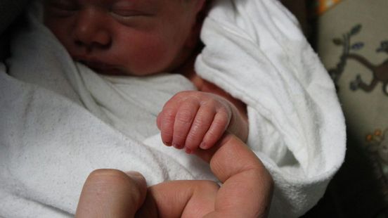 Dit zijn populairste kindernamen in Zuid-Holland Nieuws