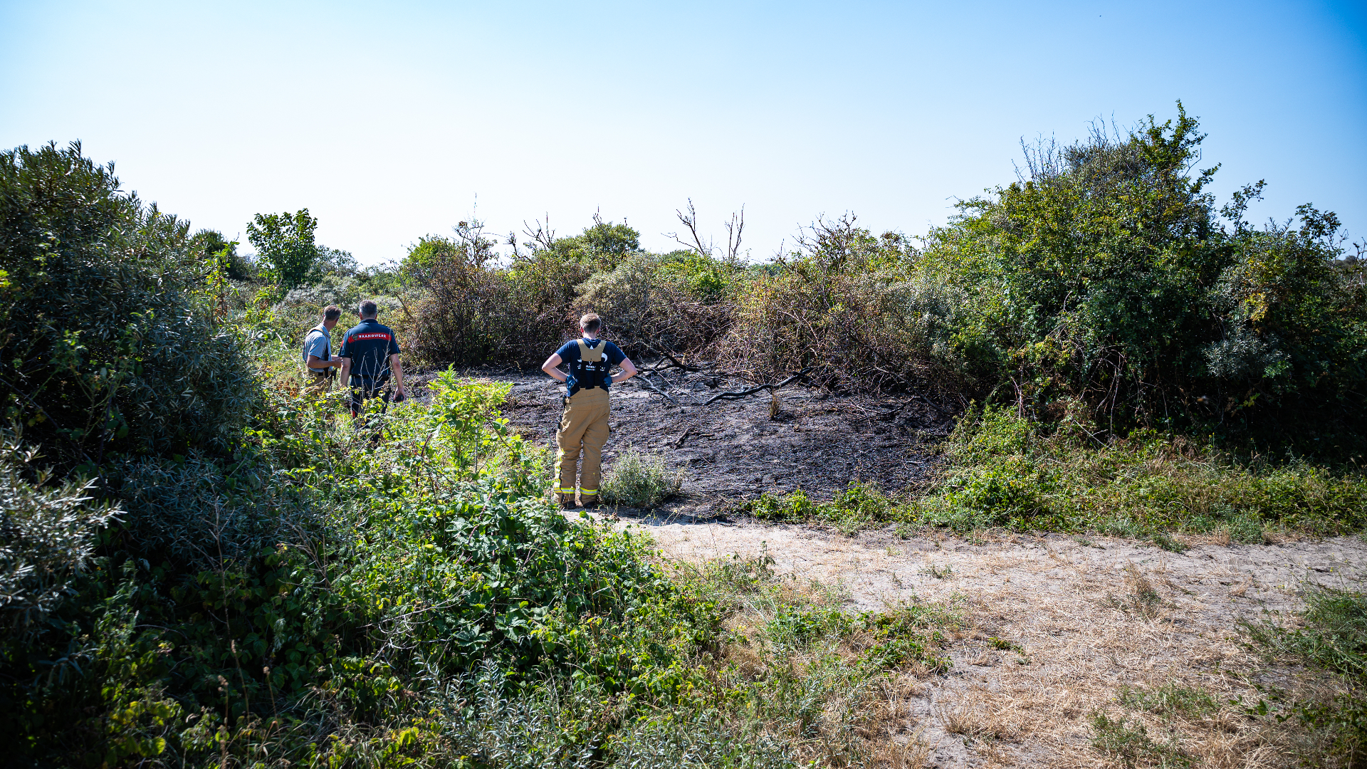Brandweer blust duinbrand in Ouddorp.
