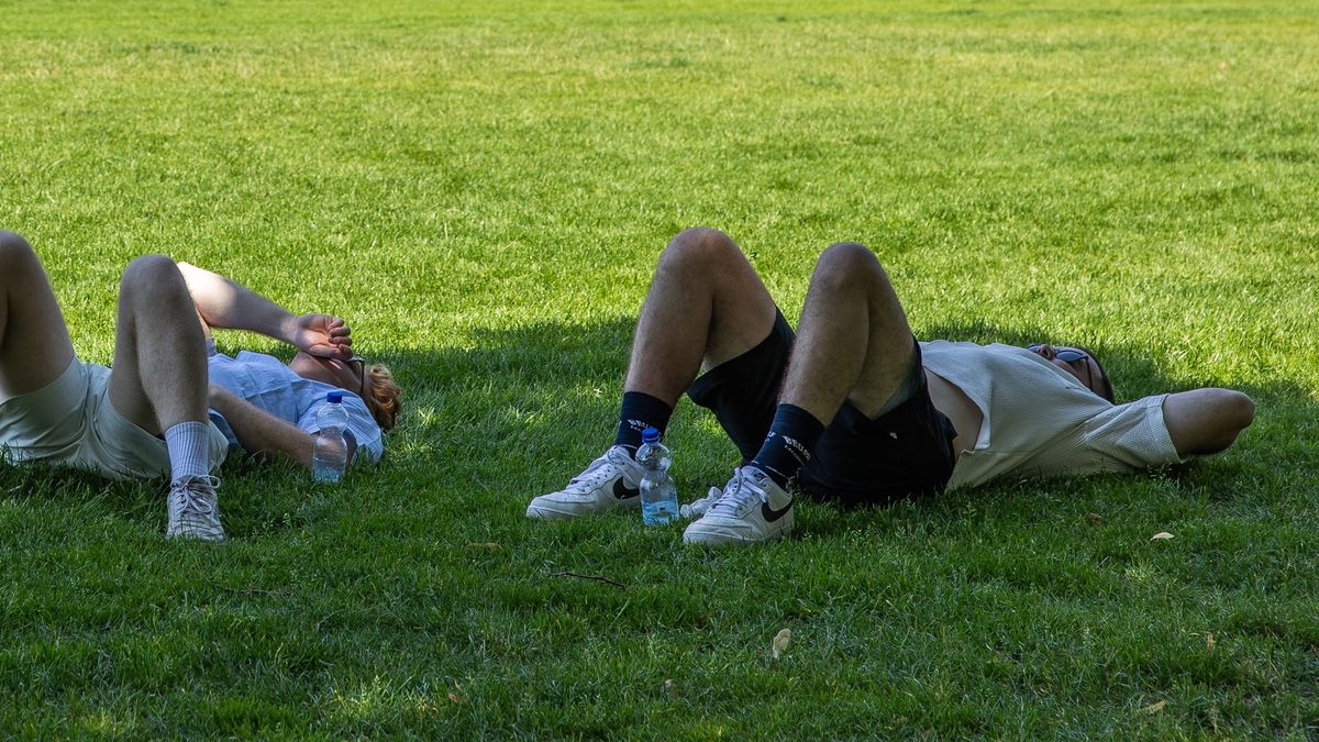 Vandaag warmste 19 juni ooit gemeten in Fryslân