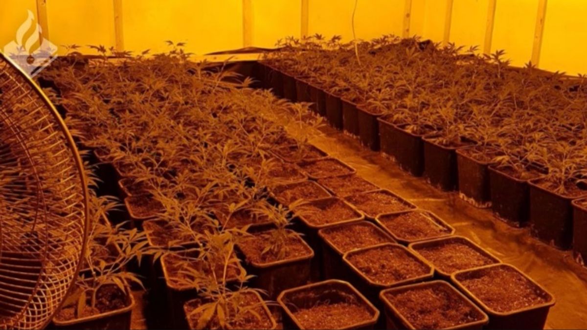 Man uit Emmen (43) opgepakt voor drugshandel