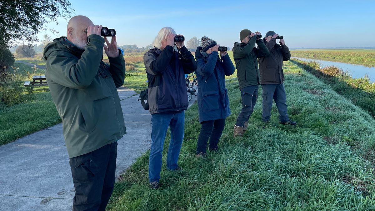 Verrekijkers in de aanslag: Vogelwacht Uffelte telt trekvogels op weg naar het warme zuiden