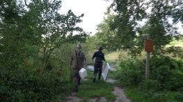 Rivierkreeften vangen in de Drentsche Aa