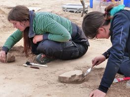 Vijfduizend jaar oude vondsten in Dalfsen blijken goud waard: "Een uniek inkijkje in de prehistorie"