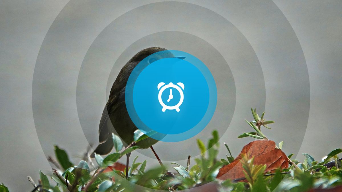 Goedemorgen! Paarse vrijdag, lichtjestochten en laatste optreden Baldrick Brothers