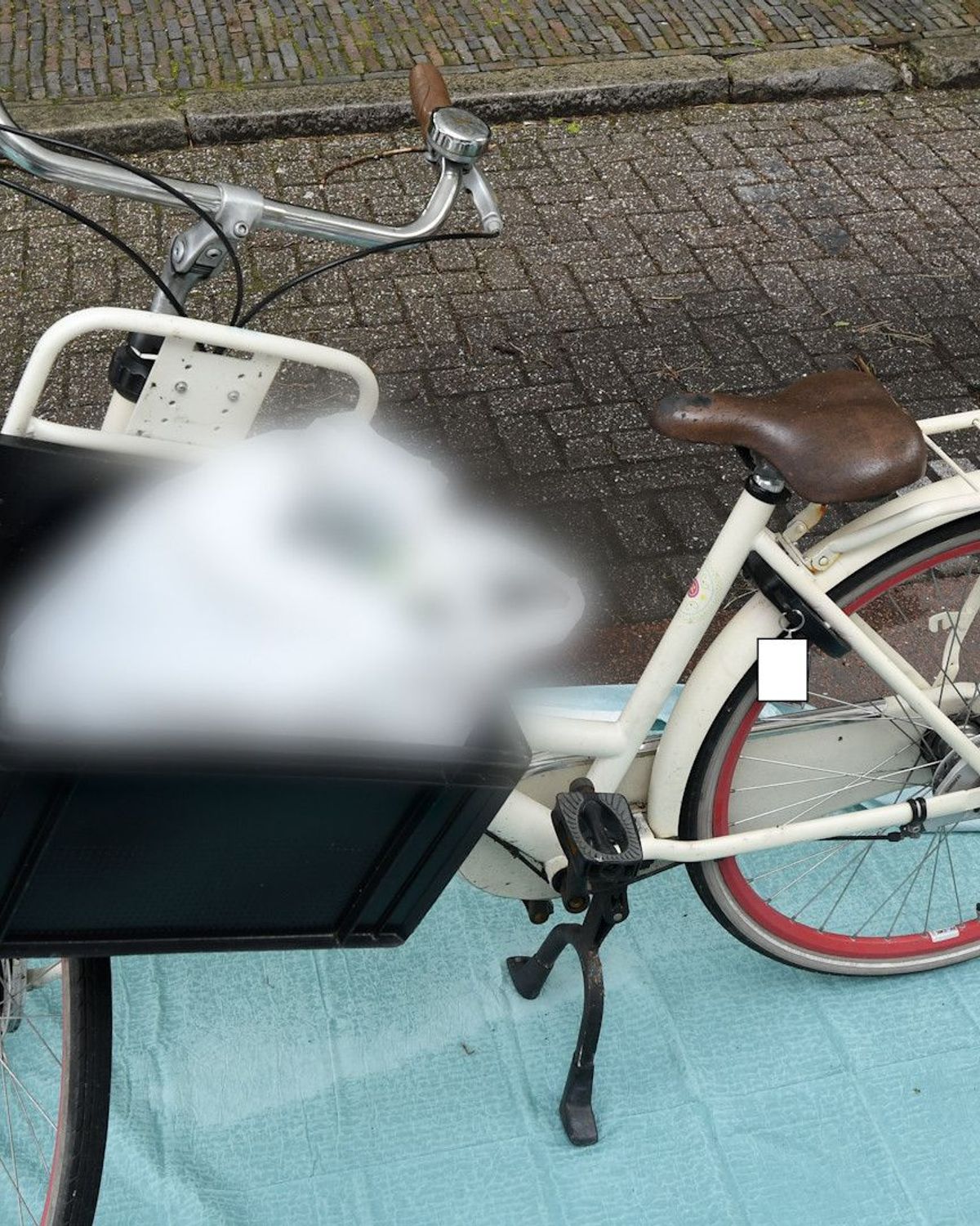 Op deze fiets reed vermoorde Renée (23), politie wil weten wie haar nog ...