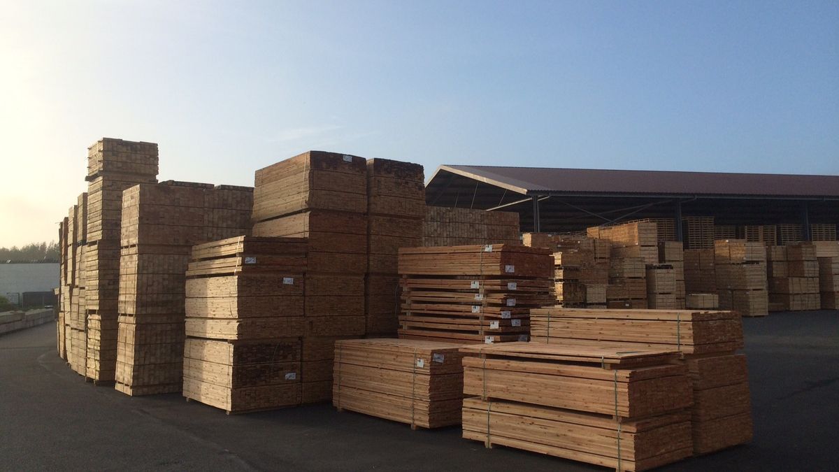 Faber Pallets in Assen ontslaat 26 werknemers RTV Drenthe