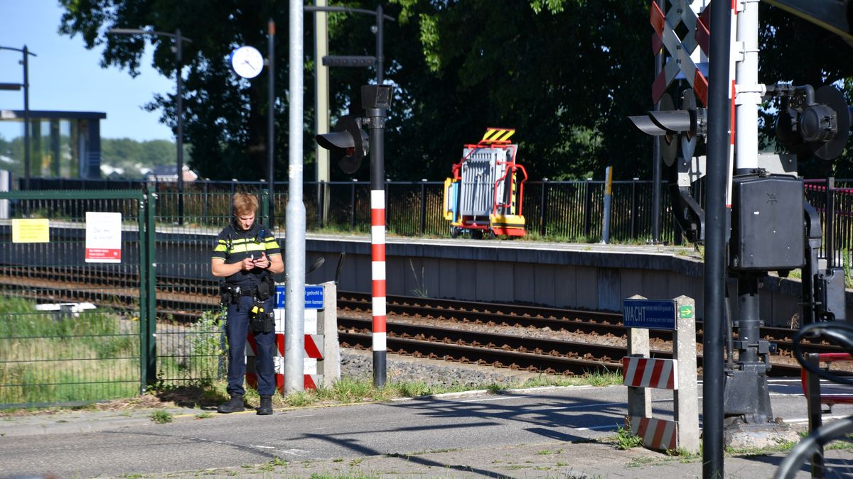 Treinen rijden weer tussen Goes en Middelburg na stop door dodelijke aanrijding