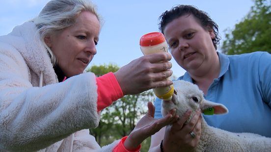 Boerderij groeit uit tot toeristisch imperium in Aalten