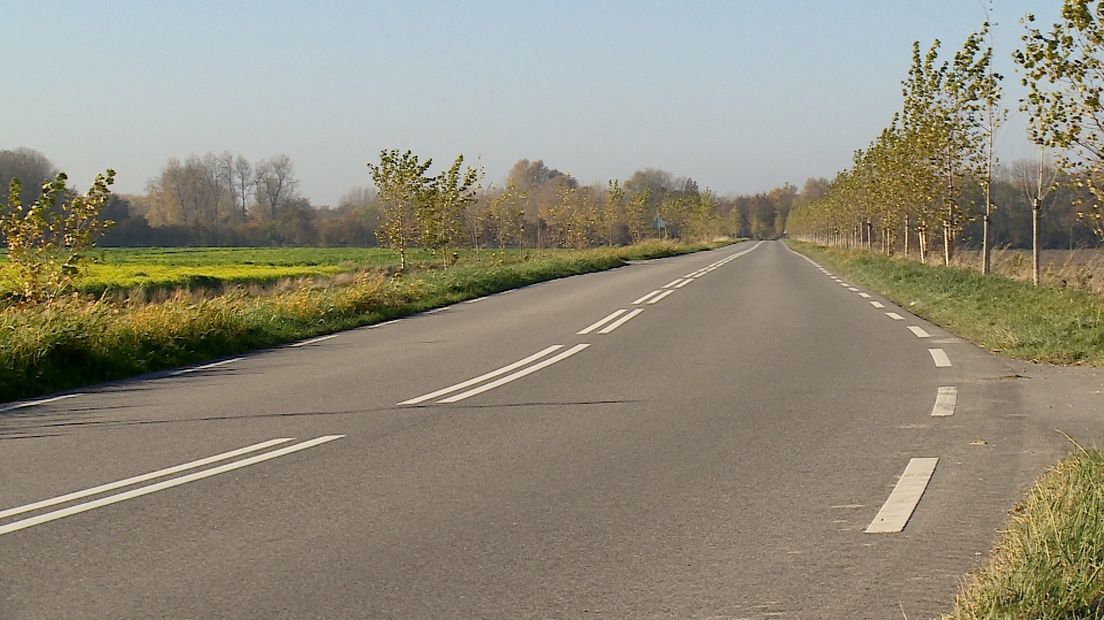 Teruggeplante bomen bij Geersdijk