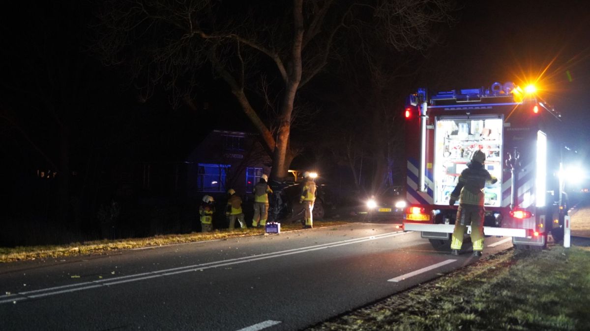 Man (27) Marknesse verongelukt na botsing tegen boom bij Wanneperveen