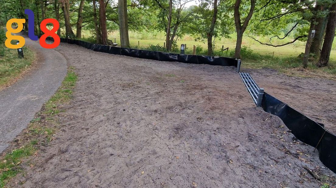 Maatregelen Staatsbosbeheer tegen de marmerkreeft