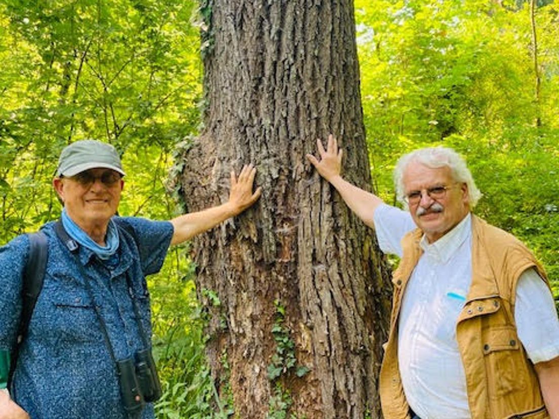 Marius Huender en Dik Vuik zijn vergroeid met het Kralingse Bos