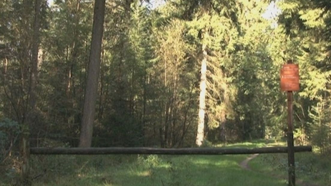 Bezuinigingen Staatsbosbeheer