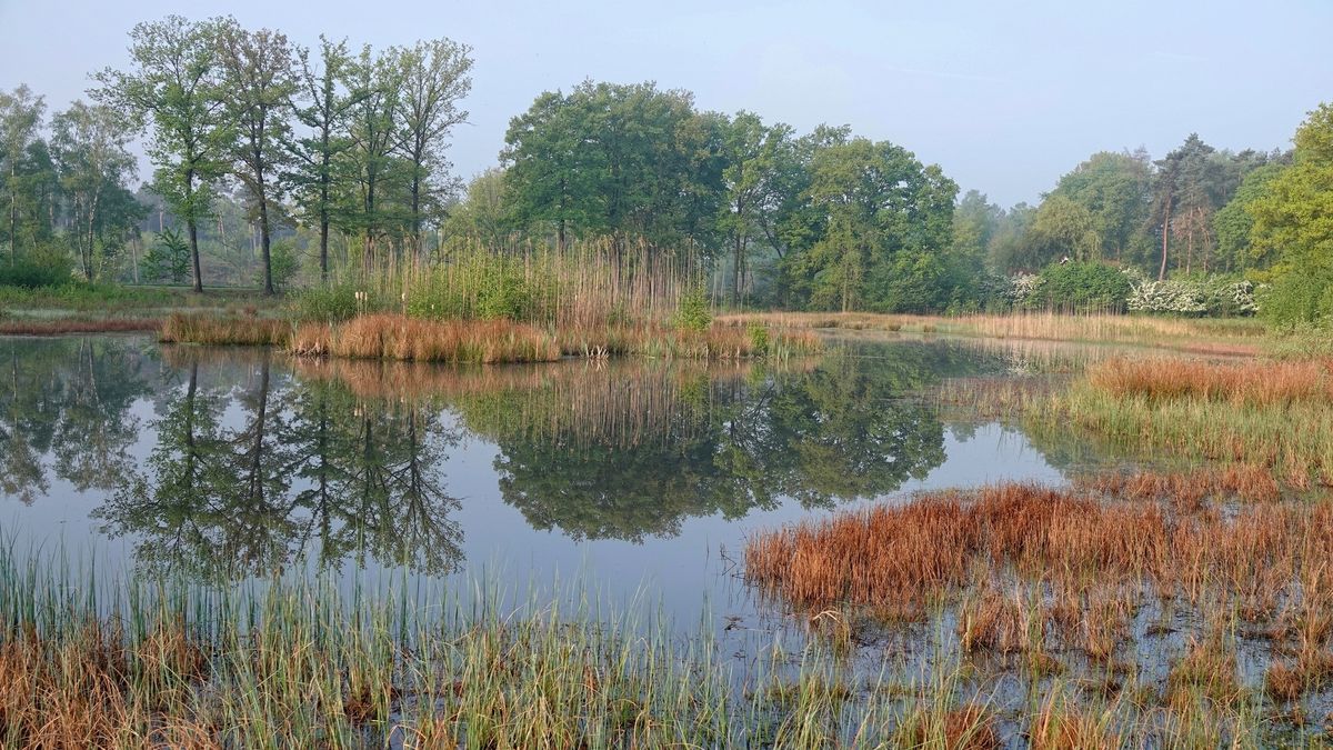Limburg Kiekt: Lomm, Stramproy, Heerlen en...
