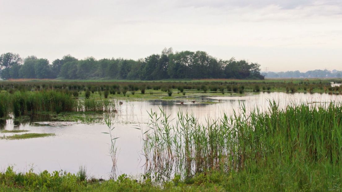 Docu Hooiland laat zien hoe veerkrachtig de natuur is