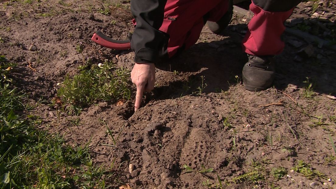 Het is u vast opgevallen: het is al weken droog. Dat is met name op de hoge zandgronden in Gelderland goed te merken. Het kabinet zei vandaag dat het voor dit voorjaar en de zomer problemen verwacht. Waterbedrijf Vitens roept op zuinig te doen met water. Nu we thuis zitten is het waterverbruik al enorm gestegen, doordat we met z'n allen de tuin besproeien.