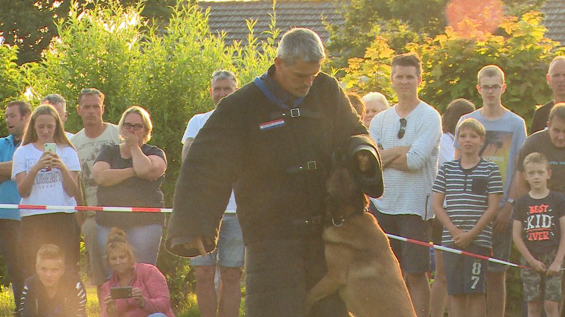 Blaffende honden bijten niet, of toch wel?