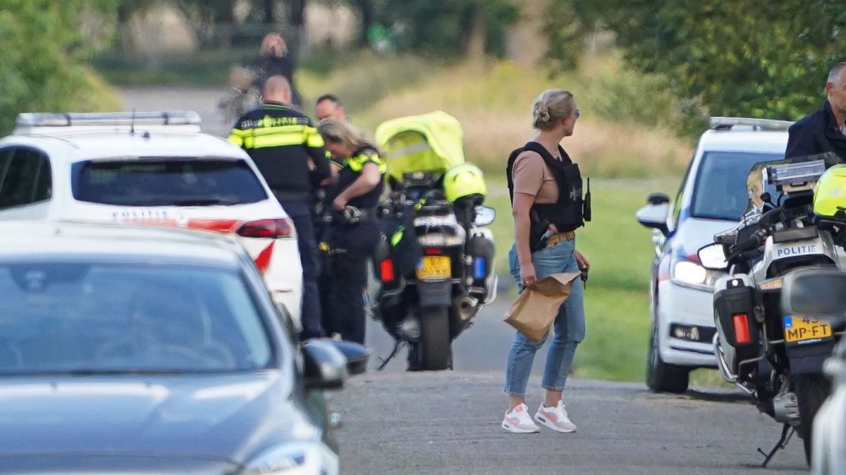'Paardenfokker uit Assen mogelijk spin in web grootschalige witwaszaak Theo E.'