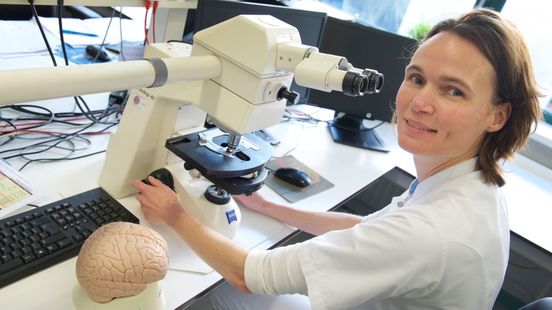 Vici-subsidie van 1,5 miljoen euro naar Gelderse onderzoeker Rijnstate