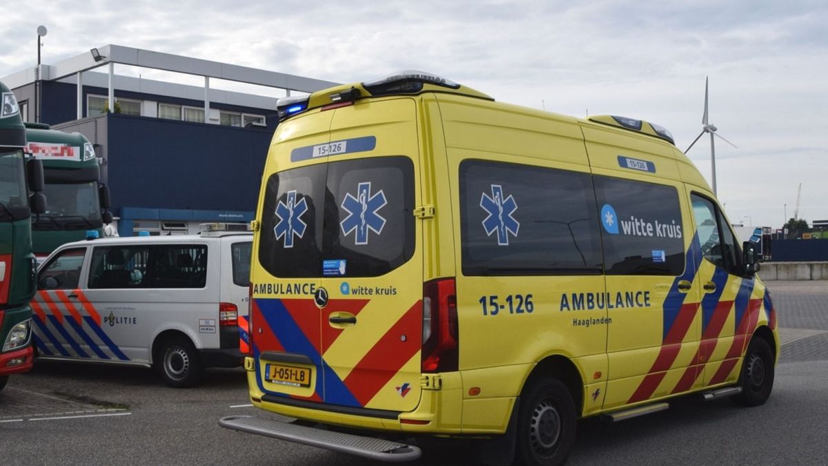 Celstraf voor fatale mishandeling arbeidsmigrant in De Lier