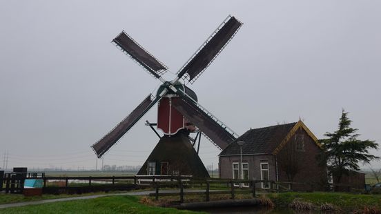 Guur, grijs en grauw: 'Houd ijskrabber deze week bij de hand' Home