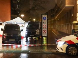 Politie houdt twee jongens aan in onderzoek dodelijke steekpartij Enschede
