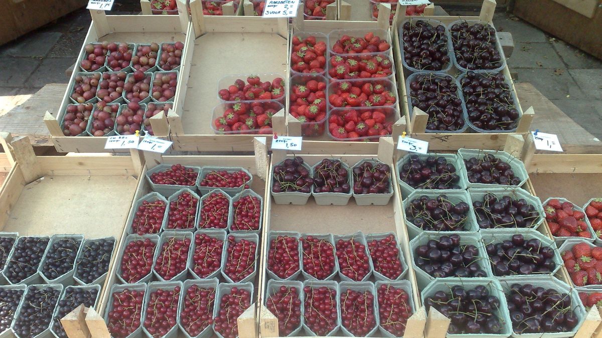 Aflevering 18 Auke Vonk biologische fruitteler in Wilhelminaoord