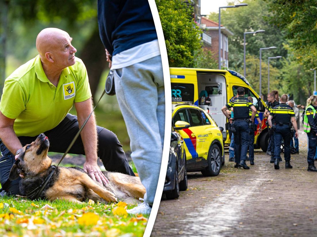 De hond wordt geholpen door het aanwezige dierenambulancepersoneel