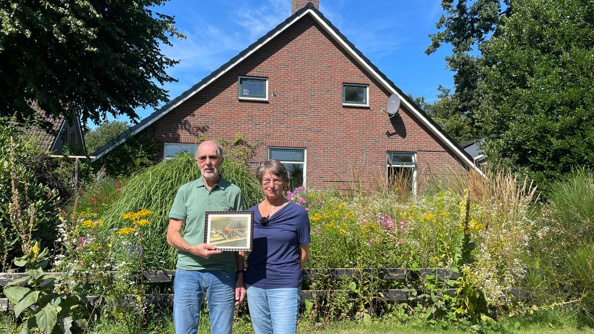 Een zelfgemaakt landgoed om nooit meer te verlaten in Gieterveen: 'Zo'n plekje vind je niet weer'