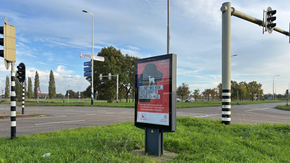 Utrecht vraagt hondenbezitters om honden aangelijnd te houden
