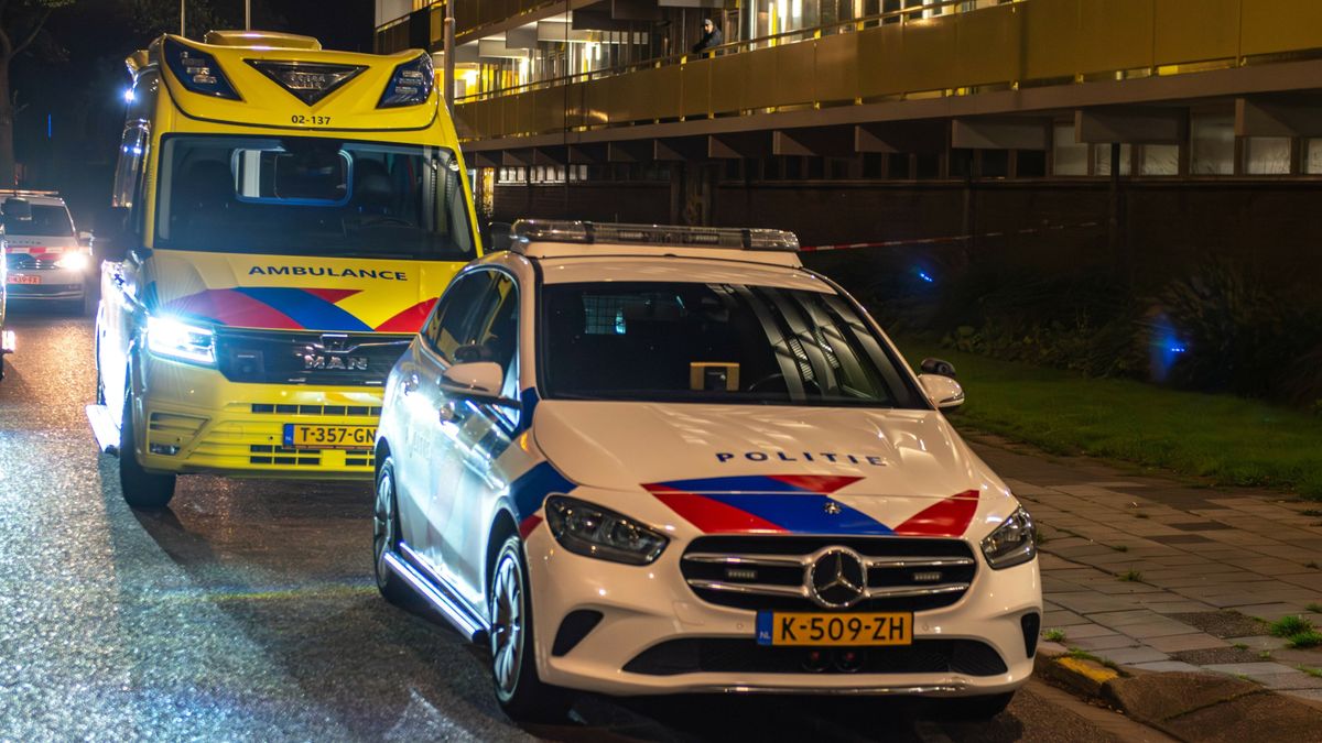 Hennepkwekerij aangetroffen in Gorredijk | Twee broers uit Eastermar slaan cafébezoeker knock-out