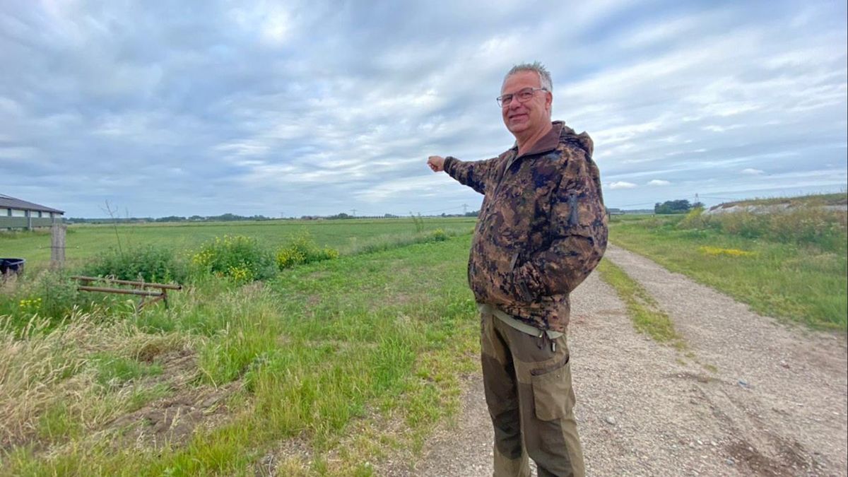 Weidevogelbeschermer ziet hoe grutto massaal wordt opgegeten: 