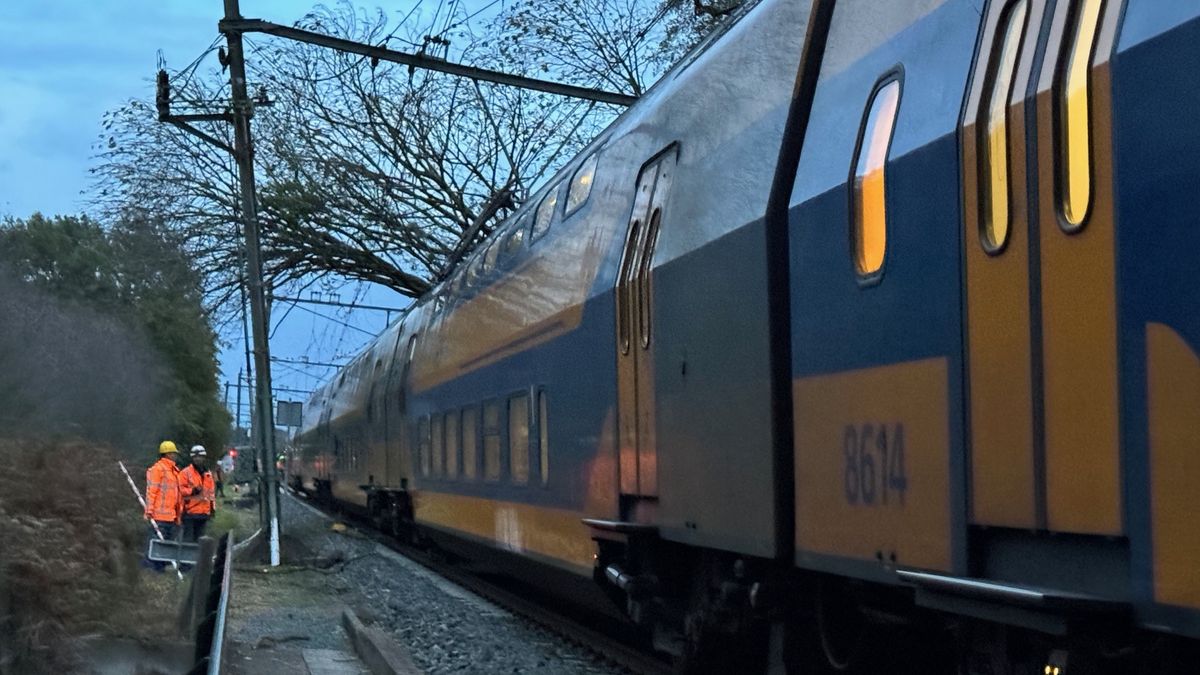 Boom op trein bij Haelen: hele avond geen treinverkeer