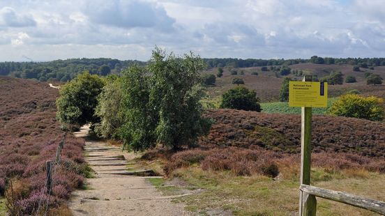 Foto: 'Bezuinigingen schandalig', veel kennis nationale parken weg