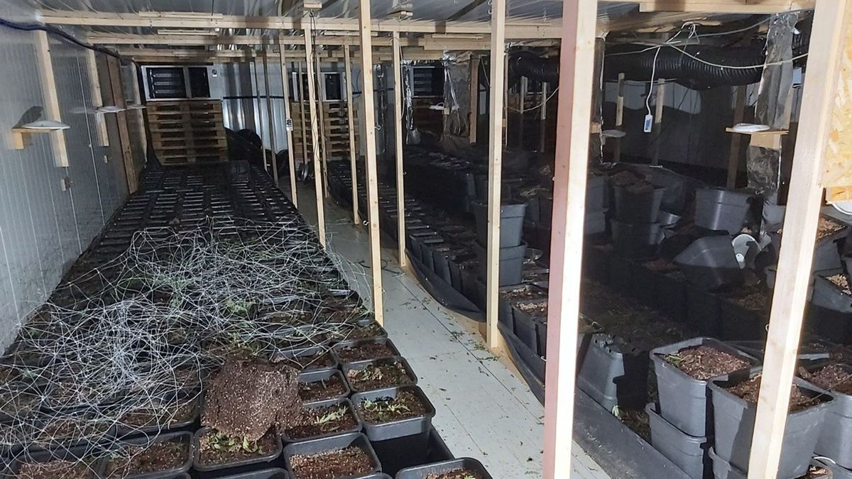 112 Nieuws: vijf verdachten opgepakt voor hennepkwekerij in Buurse