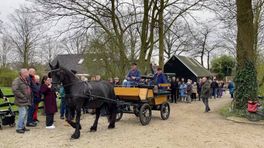 Voor de 548ste keer krijgen inwoners van Oldekerk, Niekerk en Faan haring uitgereikt