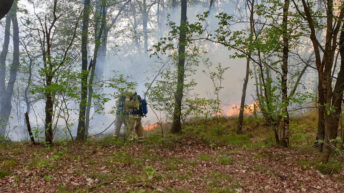 Natuurbrand bij Zeegser Duinen
