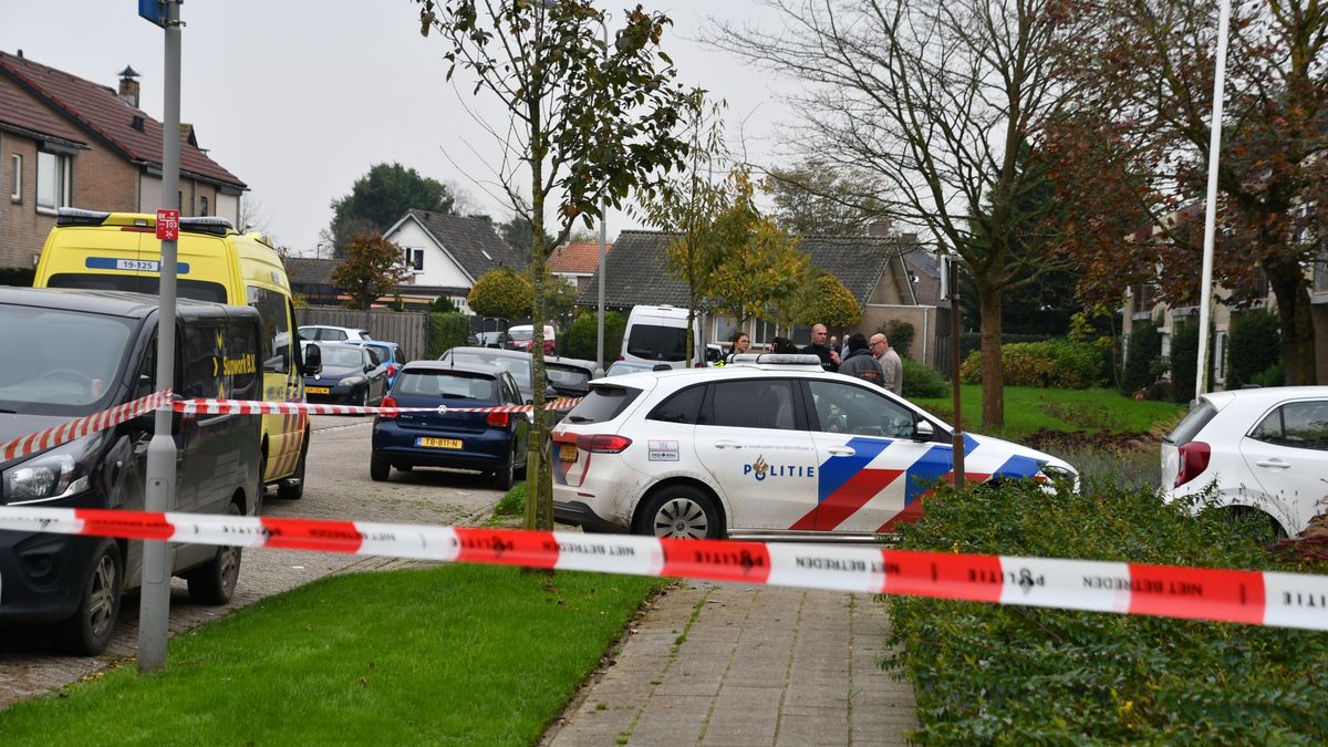 Drie jaar voor schieten op hoofd van ex-vriendin en mishandeling schoonmoeder
