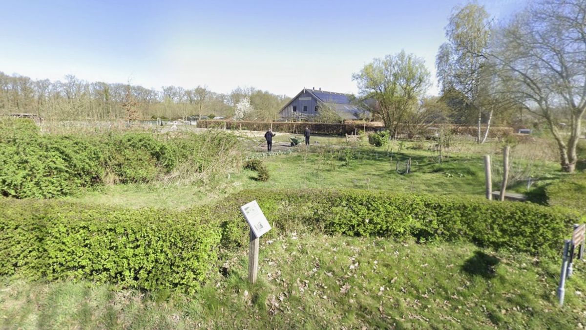 Man aangehouden bij zedenzaak zorginstelling voor mensen met beperking