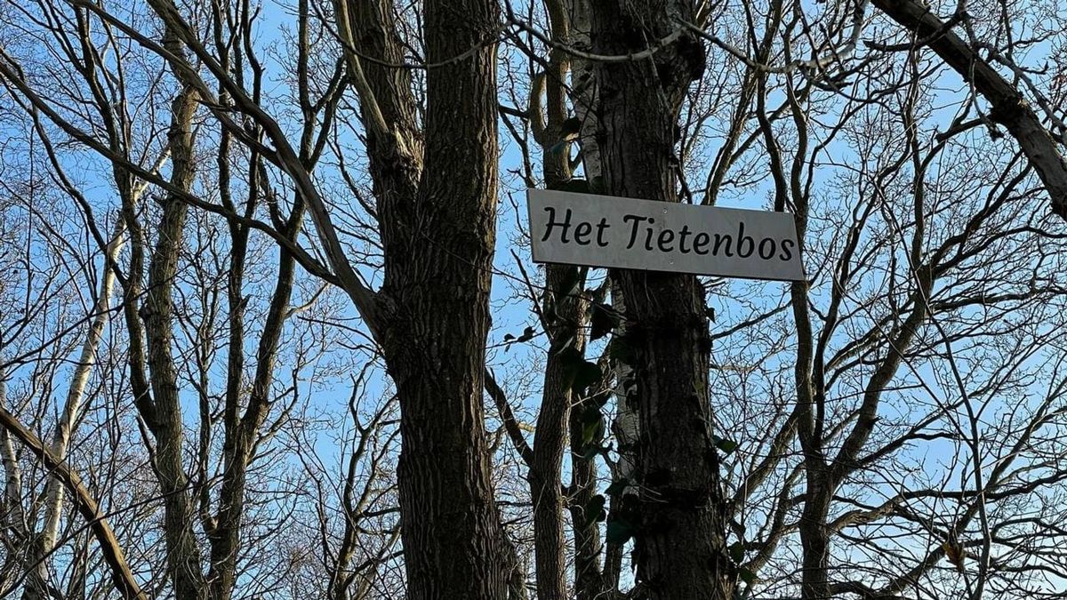 'Tietenbos' duikt op bij Foxwolde: 'Er zitten een paar goeien tussen'