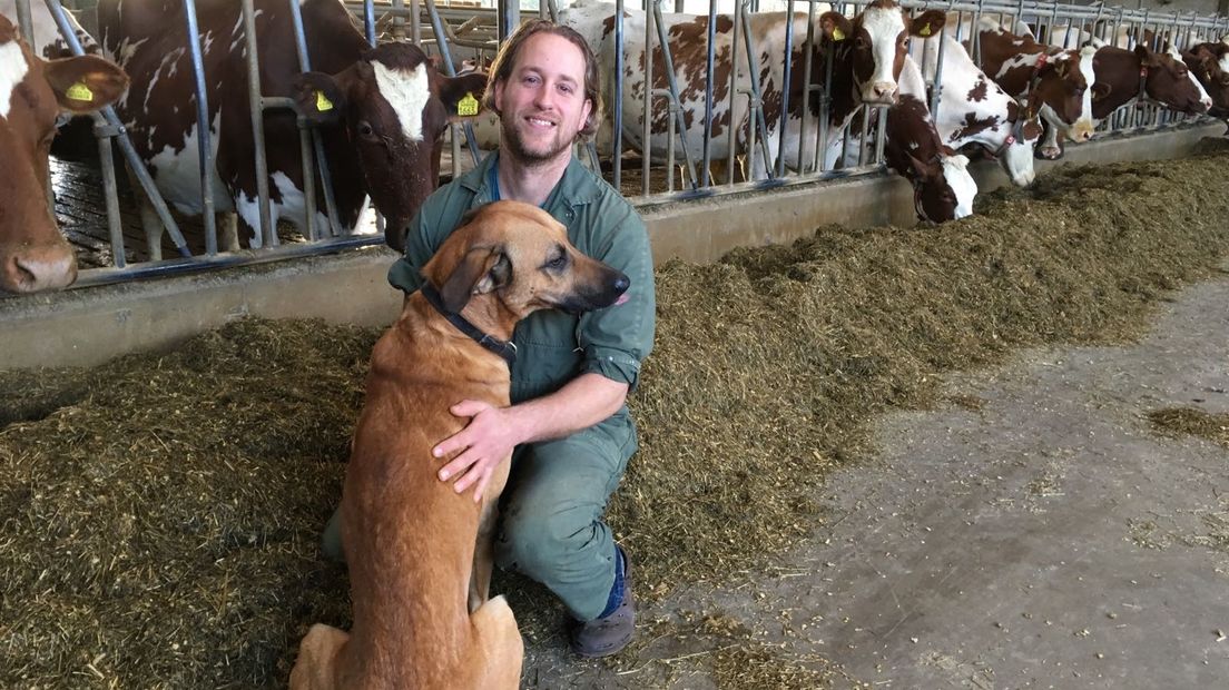 IJsboerderij De Steenoven uit Hummelo heeft de 'Oscar van de Landbouw', de Agrafiek Award 2016 gewonnen. Dat is vanmiddag bekend gemaakt op de landbouwbeurs in Hardenberg. Volgens de jury scoort het melkveebedrijf van Ronald Pelgrom excellent wat betreft sociale en maatschappelijke betrokkenheid.