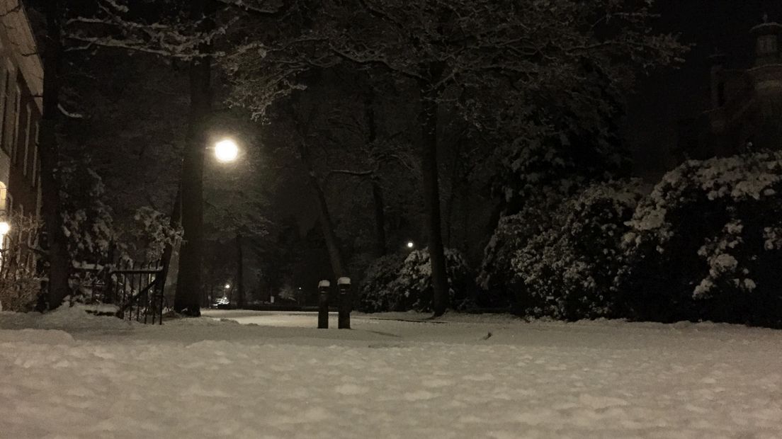 Hertenkamp in Assen onder pak sneeuw