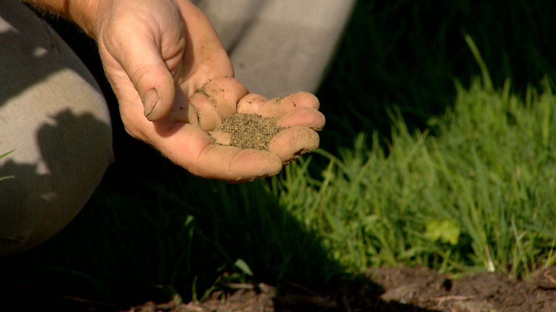 Zeewiermeel Tuinderij Plantalie Ritthem veganistisch vegan landbouw