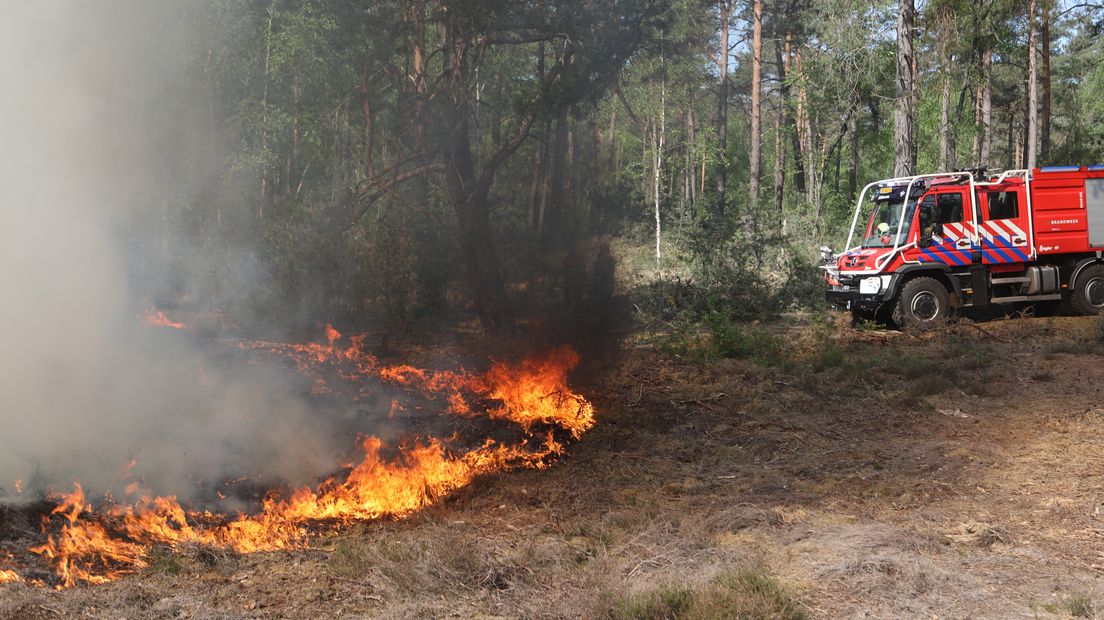 Bosbrand in Bilthoven afgelopen maandag.